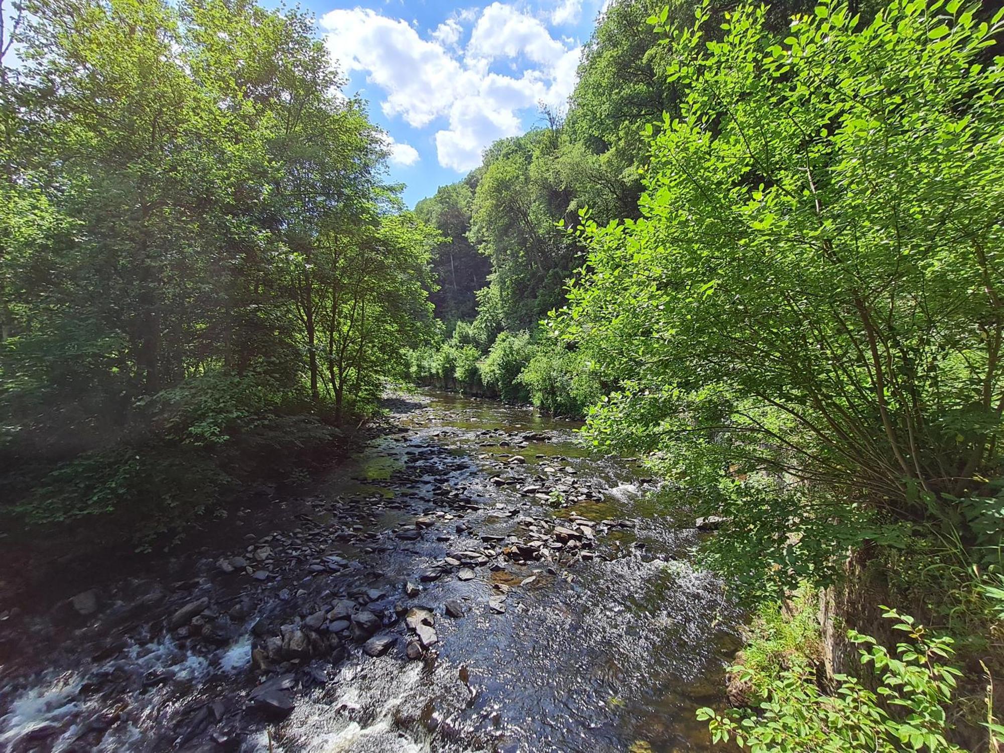 Ferienhaus Droefter Blick Monschau Exterior foto