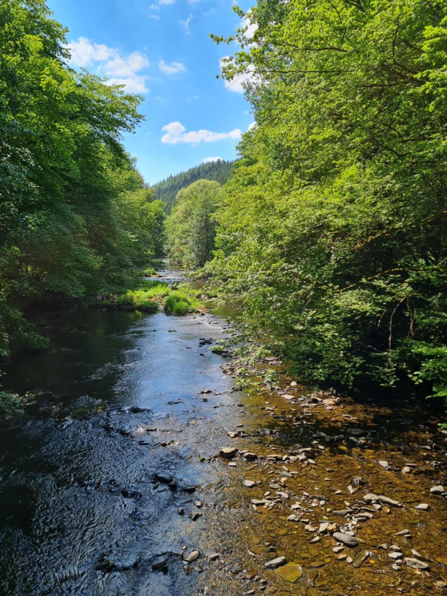 Ferienhaus Droefter Blick Monschau Exterior foto